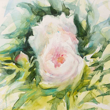 louis faye artiste peintre watercolours peonies