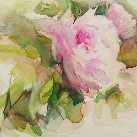 louis faye aquarelliste pivoine duchesse de morny