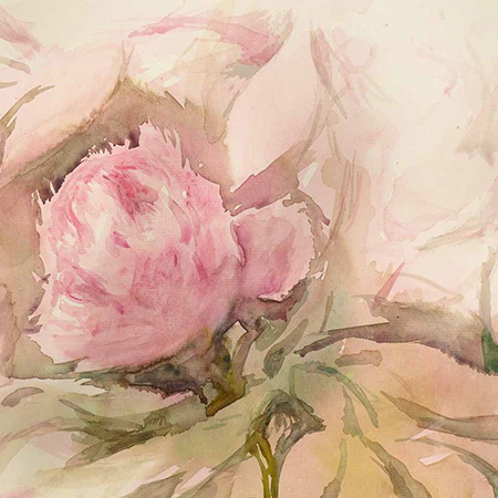 Louis Faye aquarelliste pivoines japon