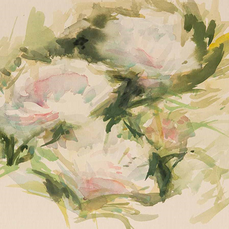 Louis Faye aquarelliste watercolours peonies