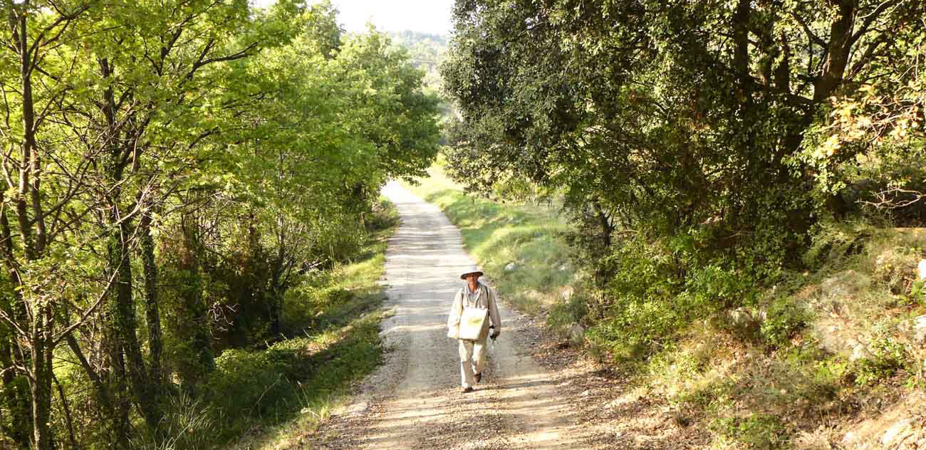 Louis faye peintre route de Cézanne 