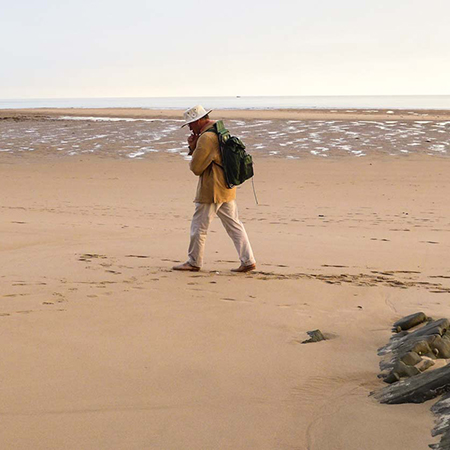 Louis faye artiste peintre mont saint michel grandes marées